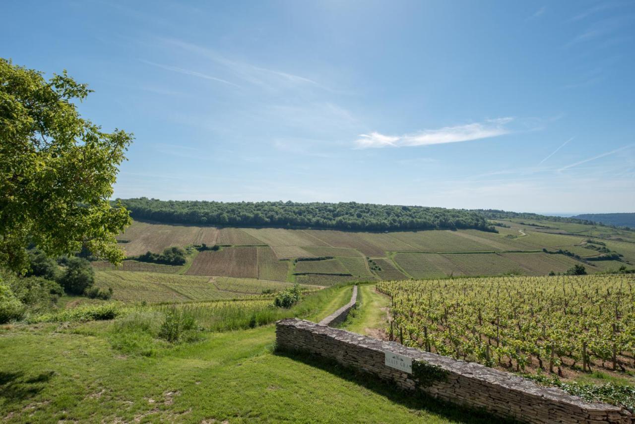 Chez Joseph - Au Coeur Des Vignes De Saint-Romain Ngoại thất bức ảnh